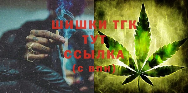ГАЛЛЮЦИНОГЕННЫЕ ГРИБЫ Арсеньев