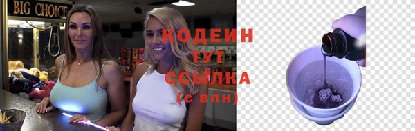 ГАЛЛЮЦИНОГЕННЫЕ ГРИБЫ Арсеньев