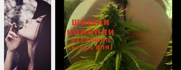 ГАЛЛЮЦИНОГЕННЫЕ ГРИБЫ Арсеньев