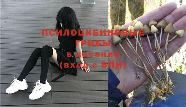 ГАЛЛЮЦИНОГЕННЫЕ ГРИБЫ Арсеньев