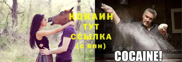 ГАЛЛЮЦИНОГЕННЫЕ ГРИБЫ Арсеньев