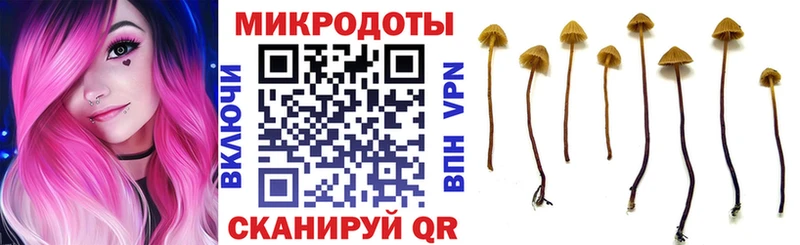 купить закладку  Михайлов  Галлюциногенные грибы мицелий 